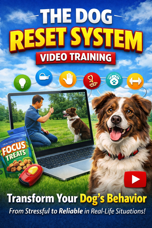 The Dog Reset System Video Training